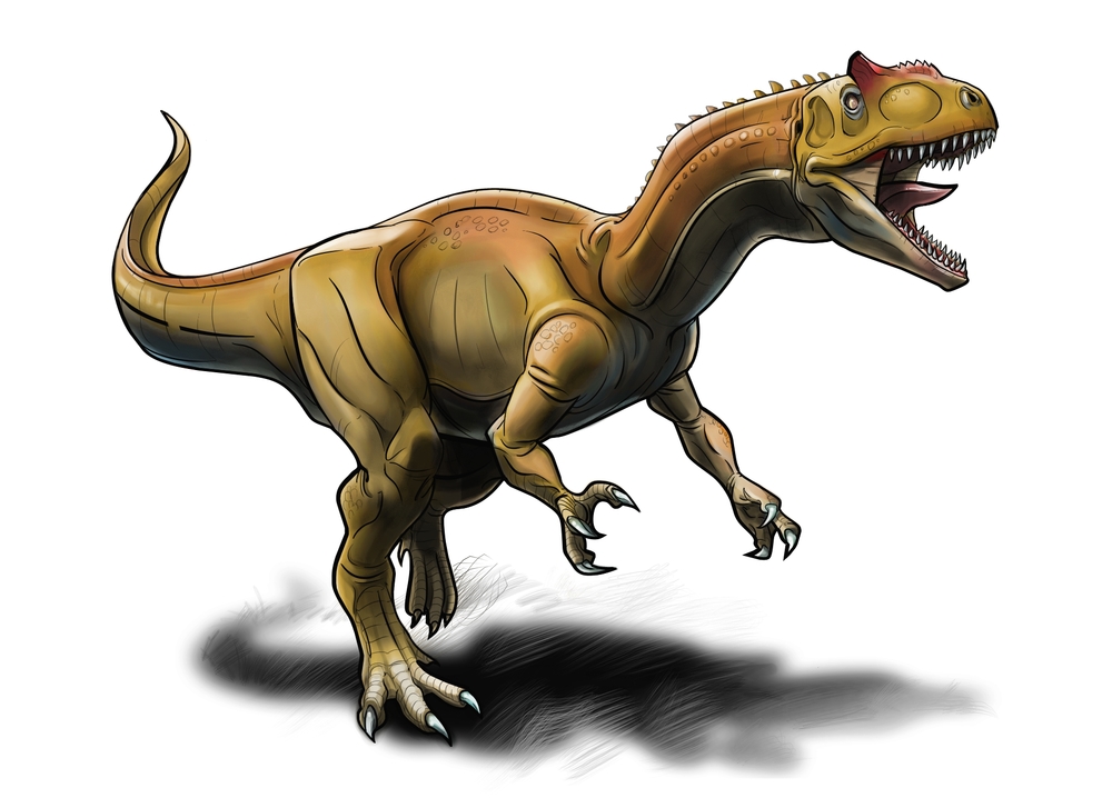 1000x727 H2gthow To Draw Incredible Dinosaurs Lth2gtltgt Lth1gtallosaurus