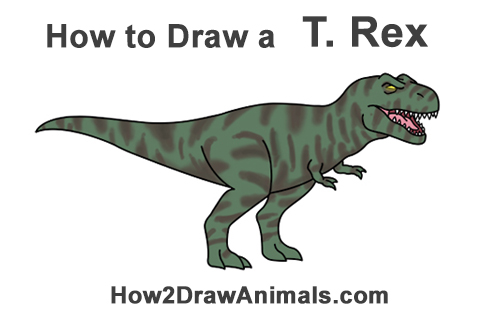 500x315 How To Draw A Tyrannosaurus Rex (Cartoon)