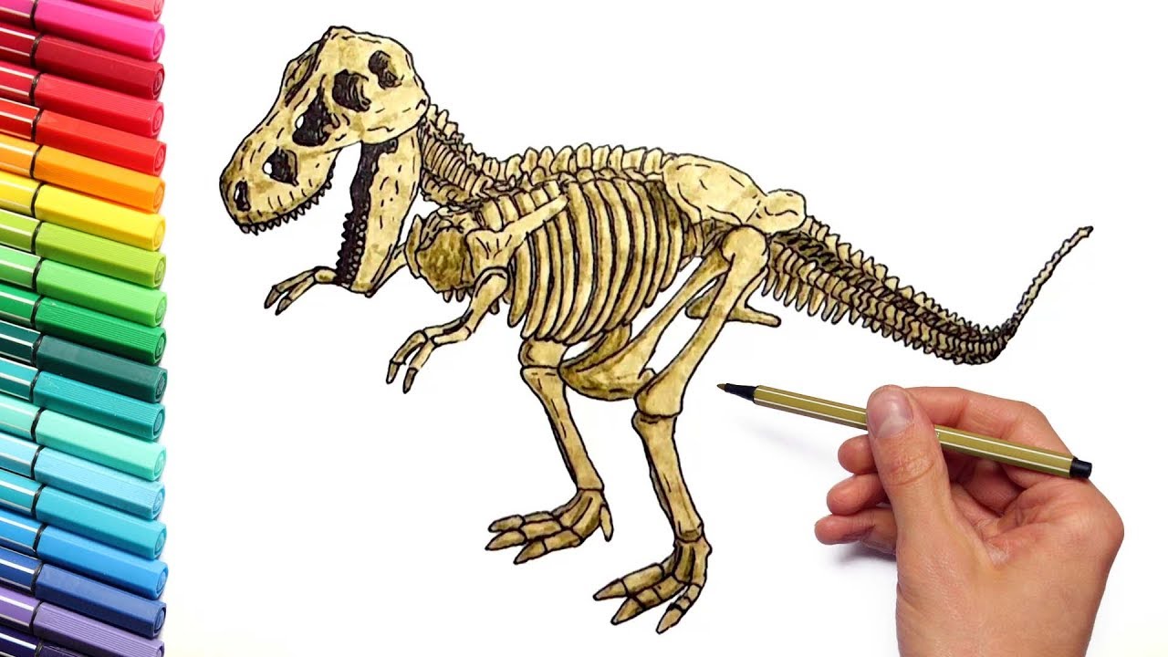 1280x720 Dinosaur Skeleton Color Pages For Childrens