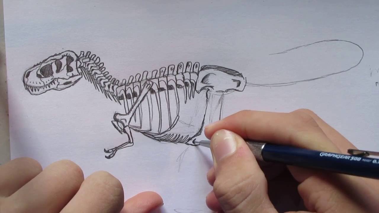 1280x720 How To Draw A T. Rex Skeleton. Danny The Dinosaur Drawer