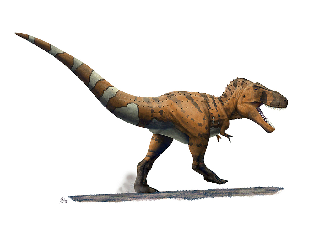 1000x750 Scott Hartman's Skeletal