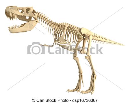 450x357 Tyrannosaurus T Rex Skeleton Stock Illustration