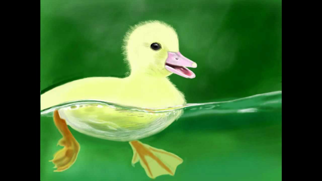 1280x720 Ugly Duckling