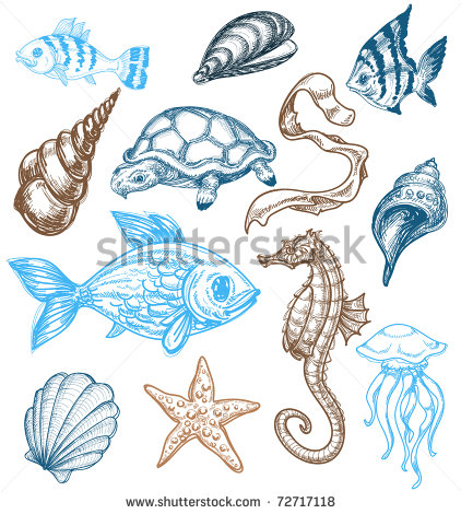 422x470 Marine Animals Drawings