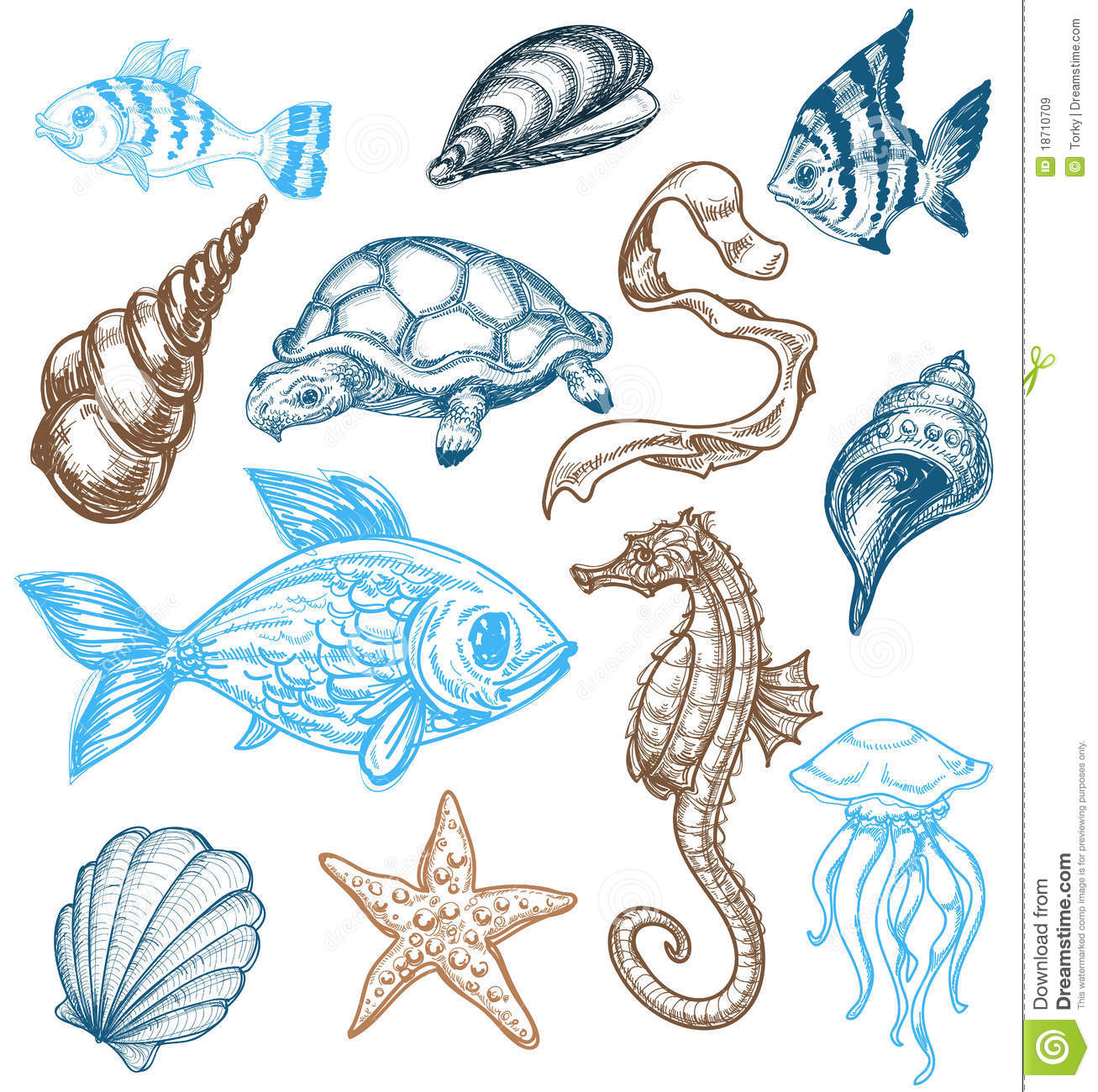 1307x1300 Sea Life Art 56 Style Guide