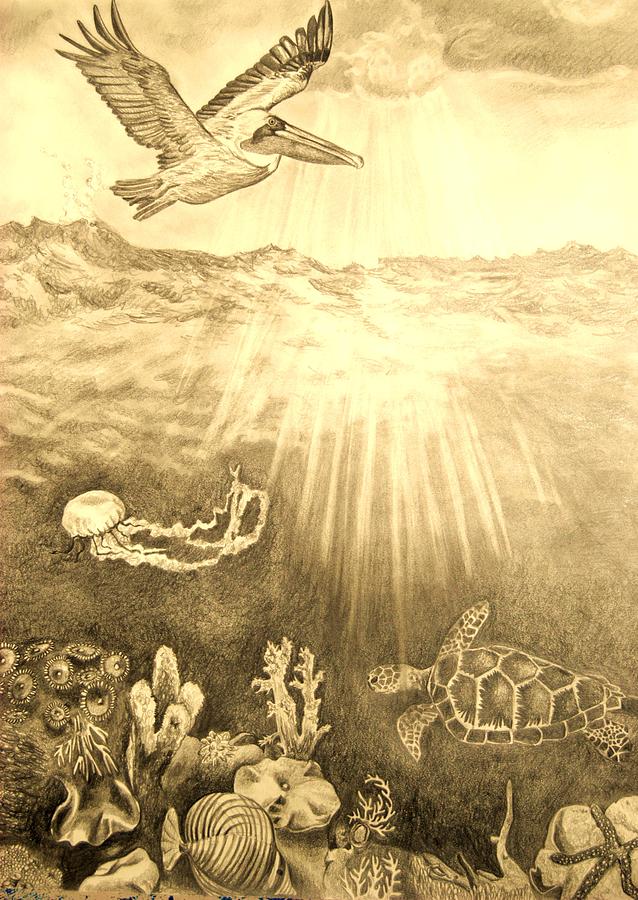 638x900 Underwater Bliss Drawing By Megan Milvet