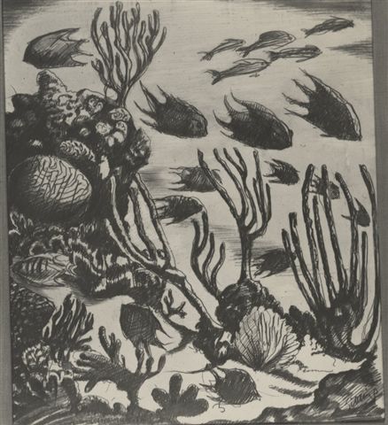 438x480 Robert Gibbings, Underwater Artist National Maritime Museum