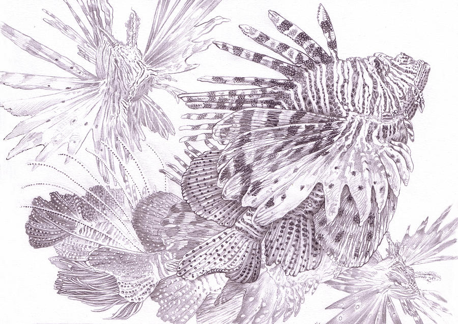 900x638 Underwater Digital Art By Ingrid Magalinska