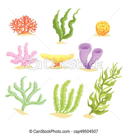 450x470 Set Of Cartoon Underwater Plants, Seaweeds And Aquatic Vector