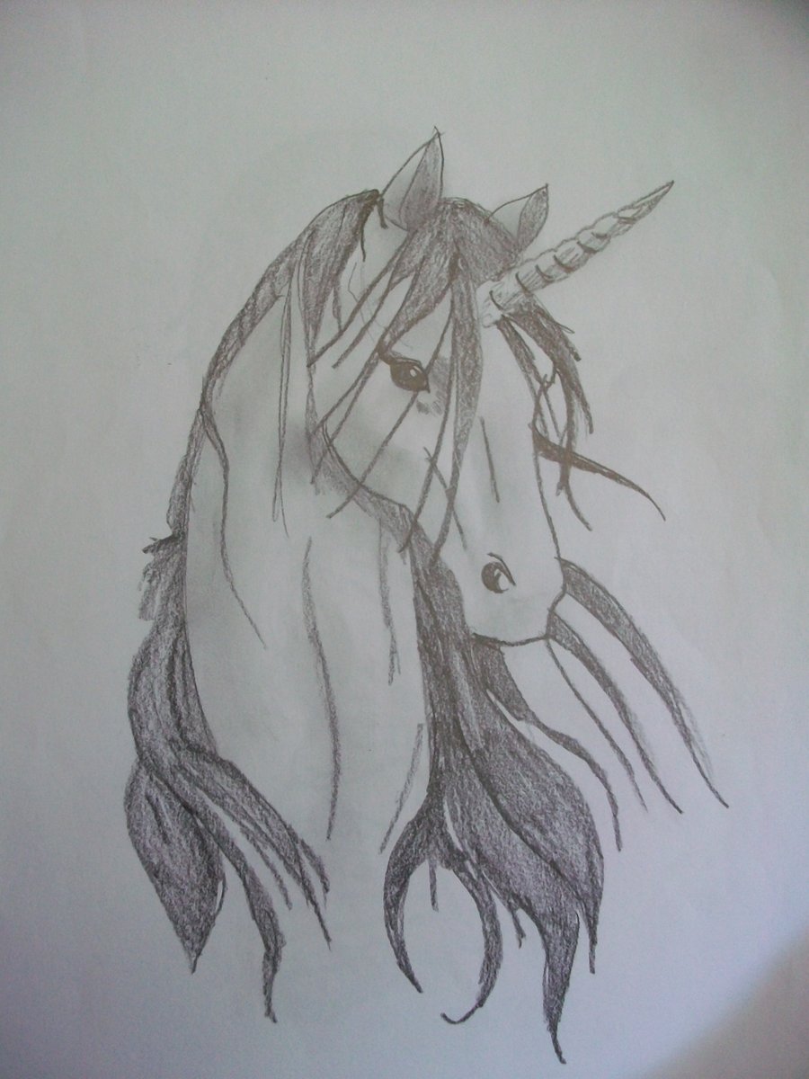 900x1200 Unicorn Head. By Cheekykat Unicorn Head. By Cheekykat Zeichnen