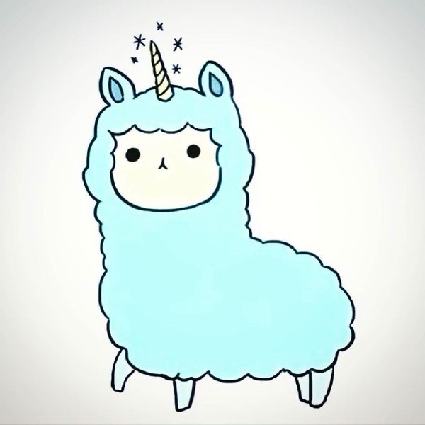 600x600 Yogi On Twitter Llamacorns Tho ~ ~