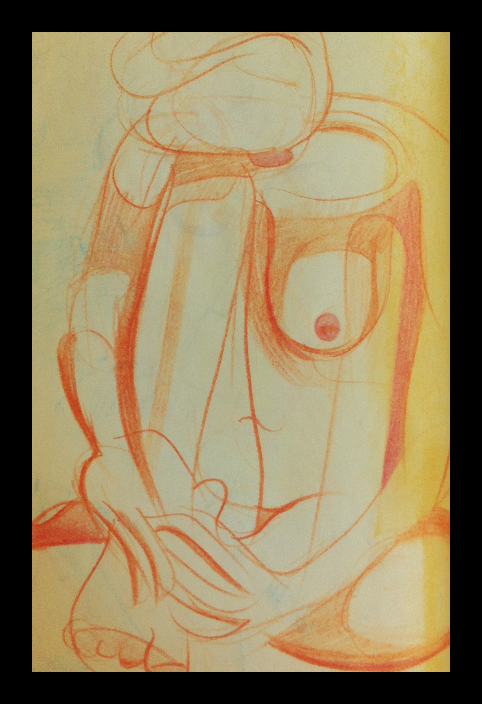 1884x2748 Pencil Drawing Jenny Hainsworth Fine Art