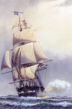 235x354 The U.s. Navy