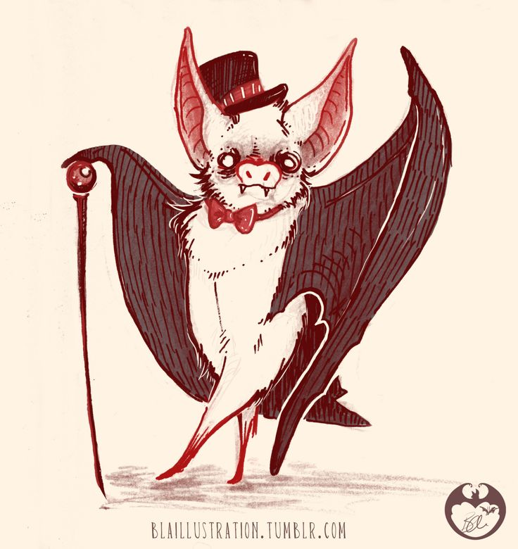 736x780 532 Best Bats Images On Bats, Doodle And Advent Calendars