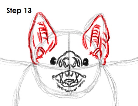 455x351 How To Draw A Bat