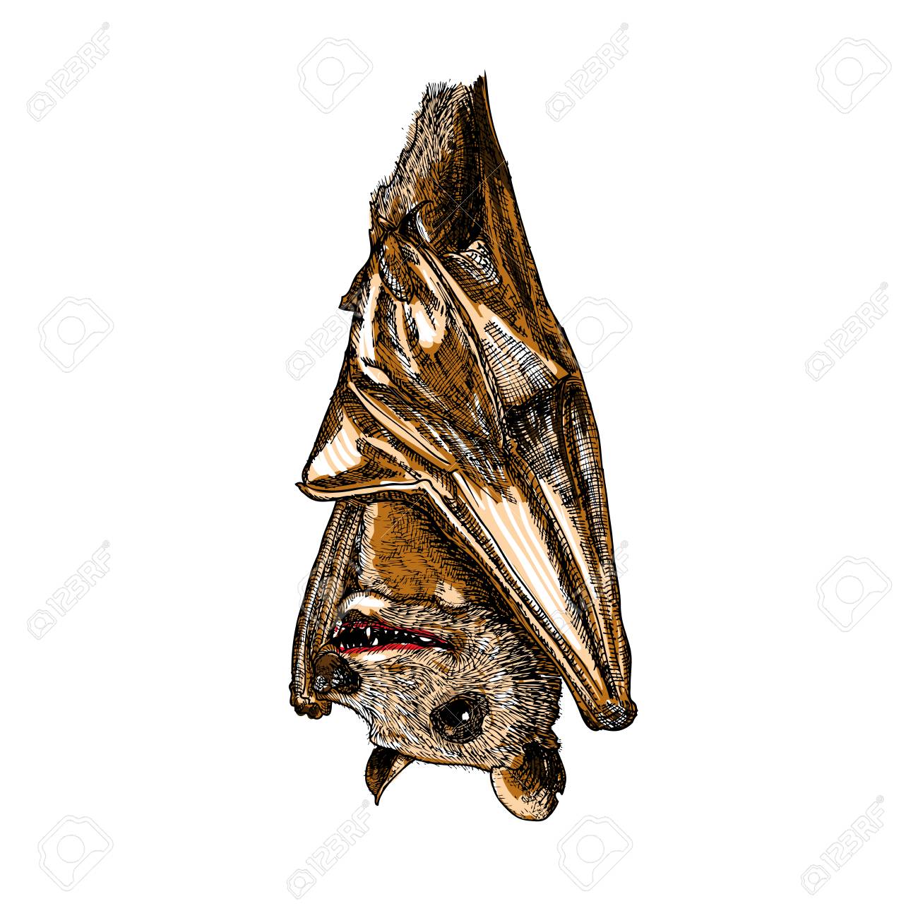 1300x1300 Stylized Hand Drawing Vampire Bat. Decorative Hand Drawn Bat