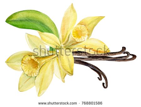 450x341 474 Best Nature Images On Autumn Leaves, Beautiful