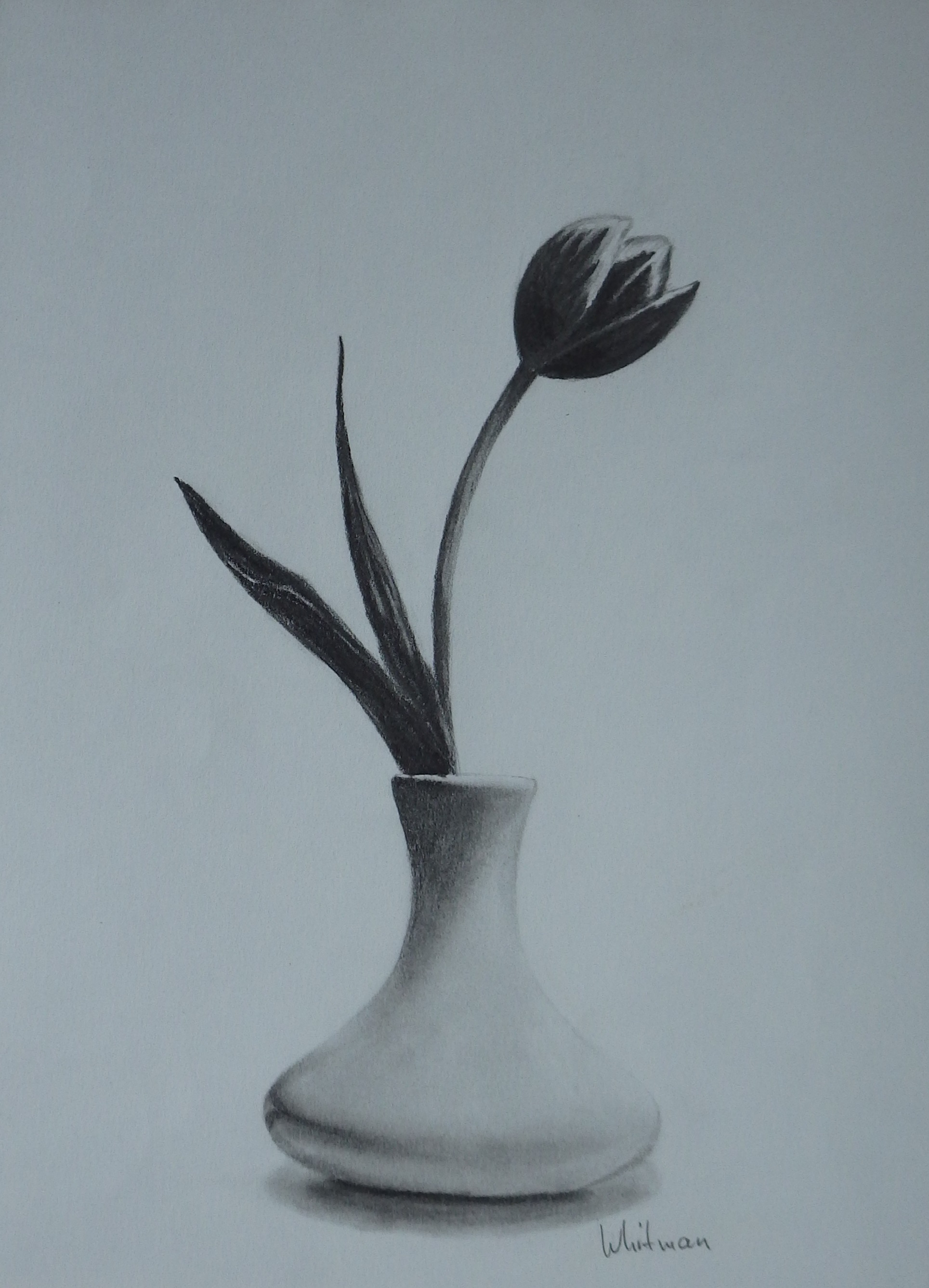 1929x2673 Pencil Drawing Flower Vase Pencil Drawing Flower Vase Glass Vase