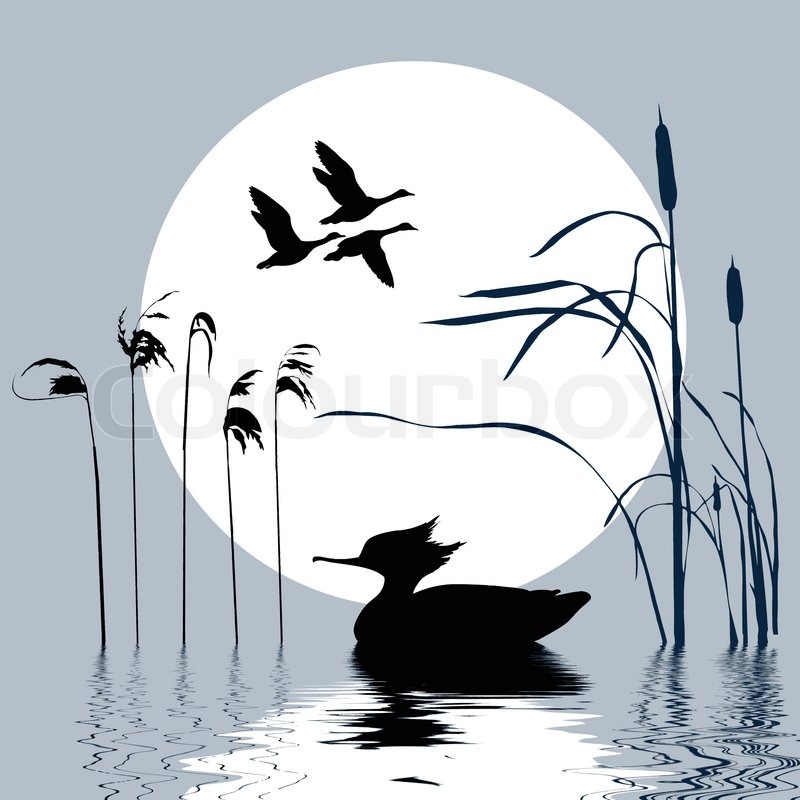 800x800 Vector Drawing Flying Birds On Background Sun Stock Vector