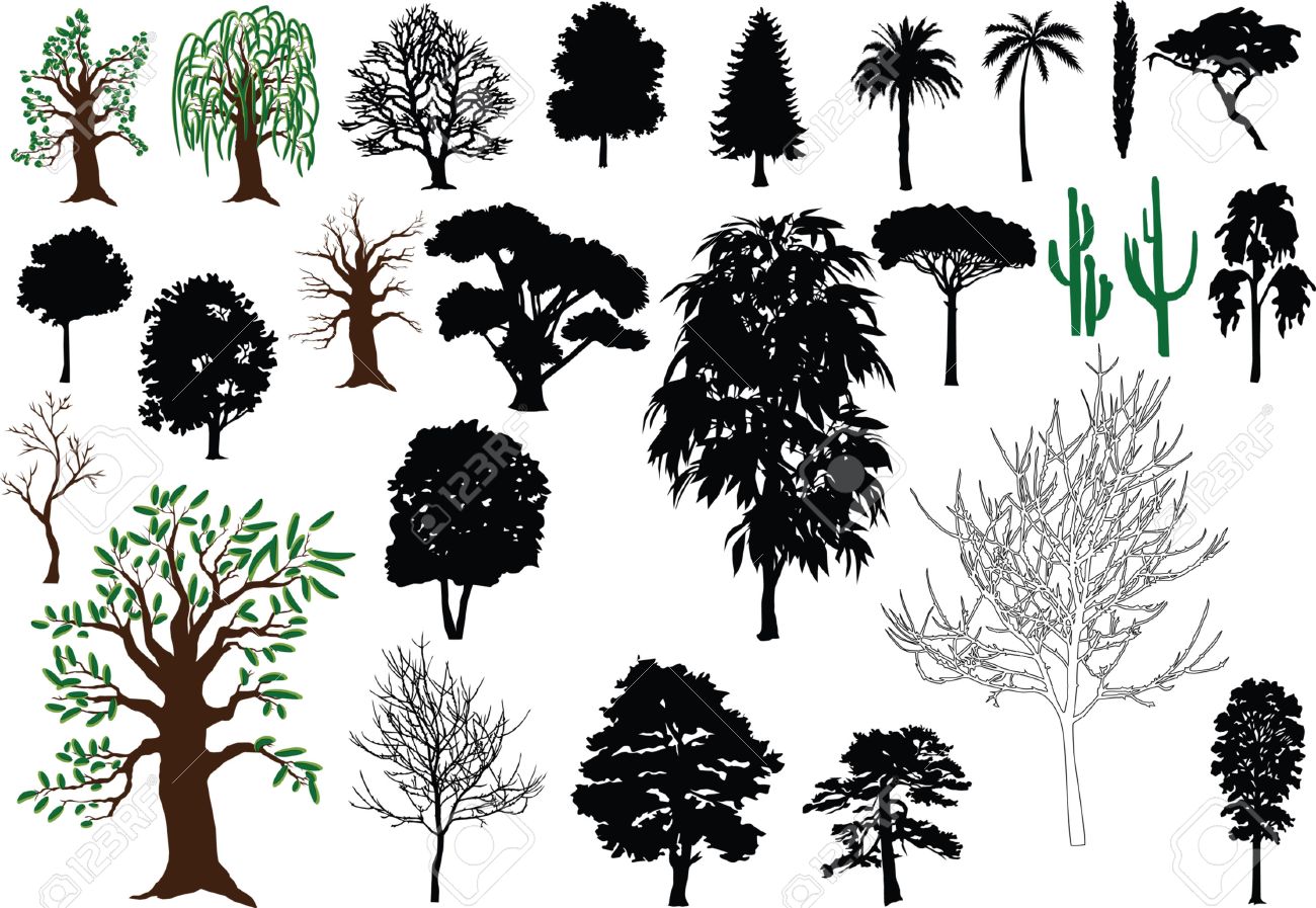1300x897 Set Of Vector Trees (Silhouettes, Drawing) Royalty Free Cliparts