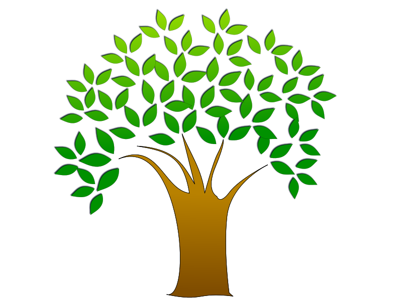 800x600 Tree Free Vector 4vector