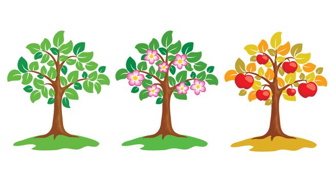 645x350 Vector Apple Tree, Vector