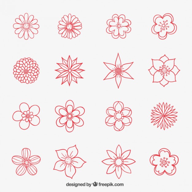 626x626 Hand Drawn Flowers Collection Vector Free Download