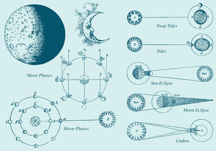 700x490 Old Style Drawing Moon Phase Vectors