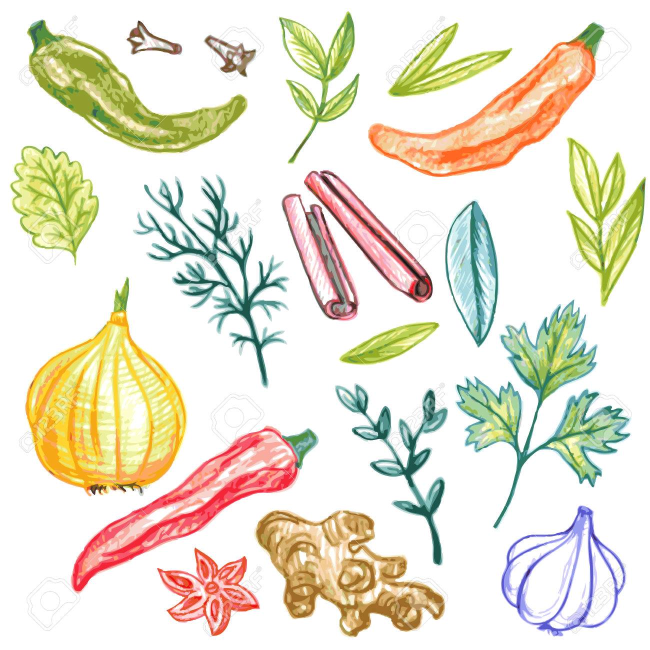 1300x1300 Vector Set Of Spices Drawing By Color Pencil, Doodle Foods, Hand