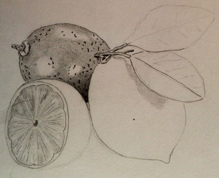 736x598 13 Best Fruit And Veg Images On Food Drawing, Garlic
