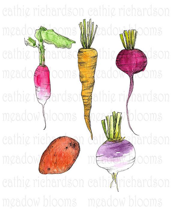 570x713 86 Best Vegetables And Fruits Illustrations Images