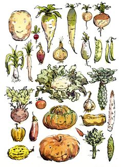 236x326 Plantaardige Wordt Afgedrukt Set Van 4 Prenten Door Lucileskitchen