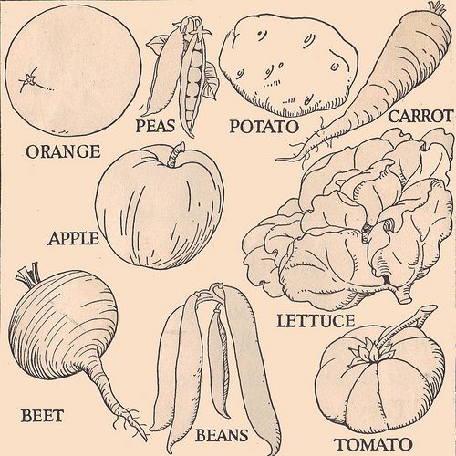 500x500 Vegetable Line Drawings Drawings, Sketches And Drawing Ideas