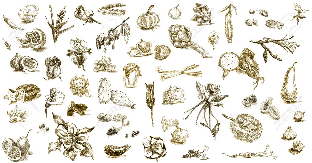 1300x679 Harvest, Fruits And Vegetable