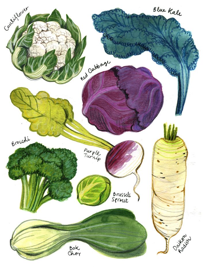 709x925 Editorial Food