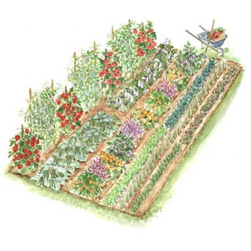 360x360 Vegetable Garden Drawing Ruhbbh Decorating Clear