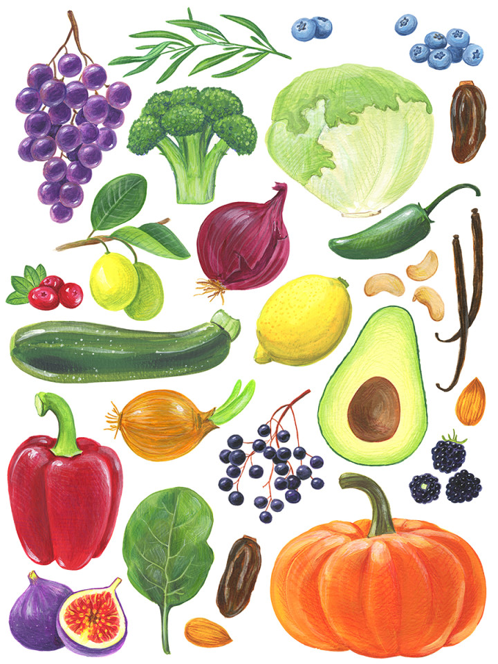 Vegetables And Fruits Drawing at GetDrawings.com | Free for personal