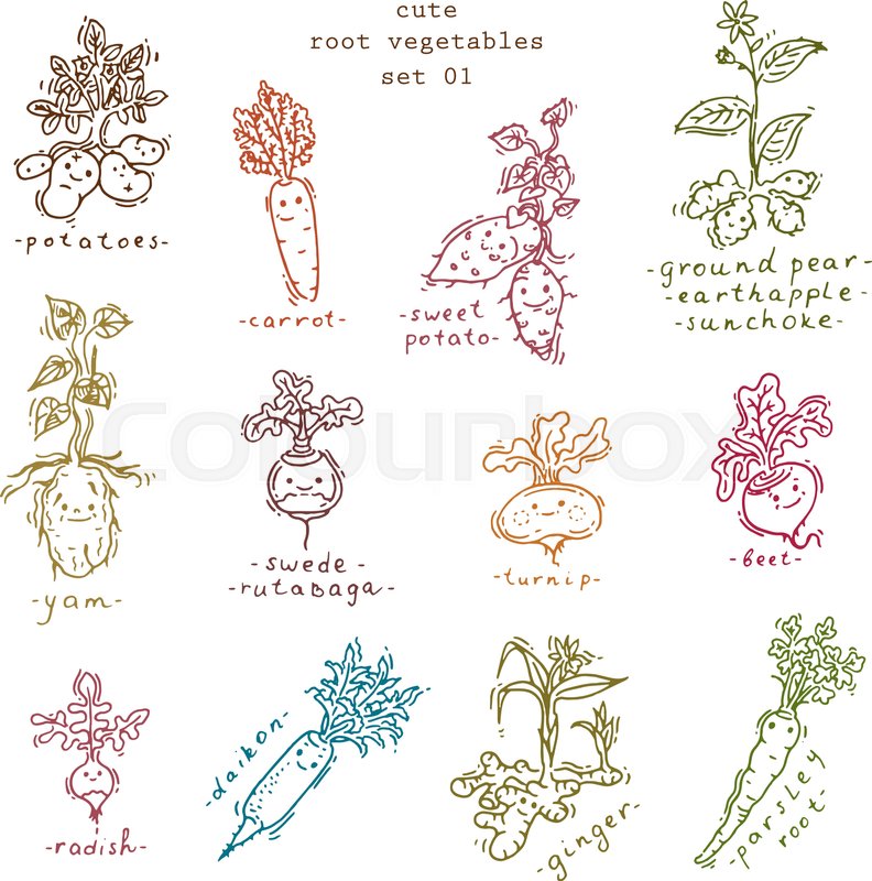 792x800 Set Of Cute Smiling Root Vegetables