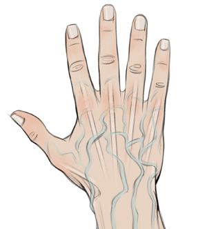 300x332 How To Draw Hands Details For Realistic Hands! Proko