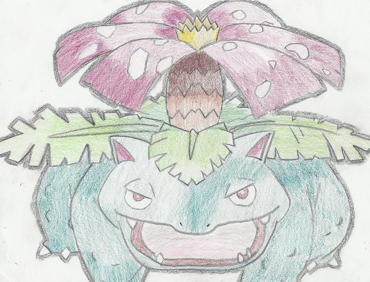 762x581 Venusaur Drawing, Freehand