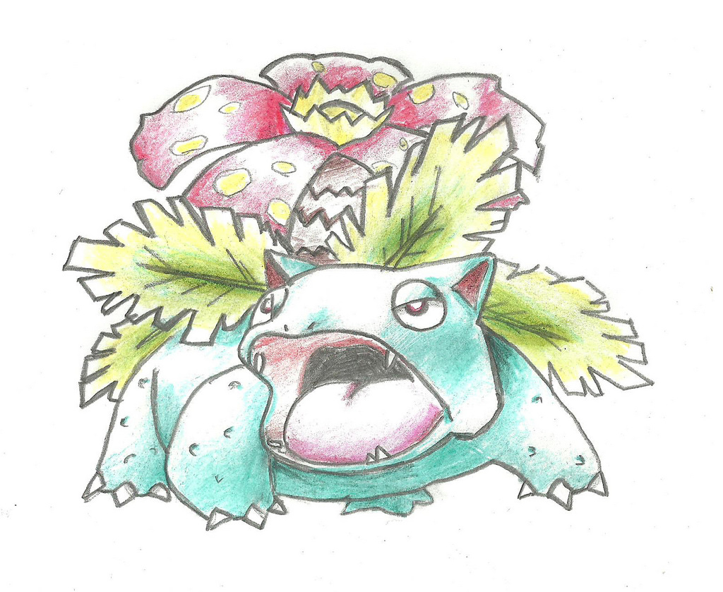 1024x839 Drawing Of Venusaur Colour Pencils Planet Telex