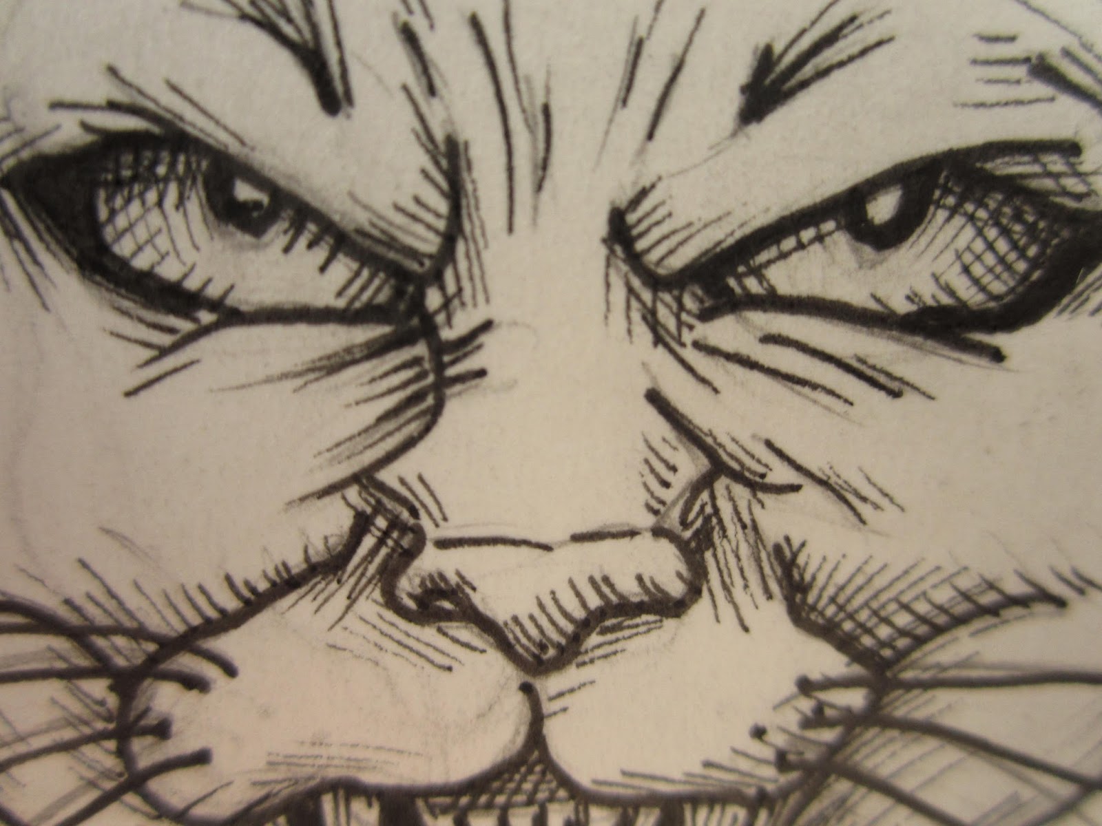 1600x1200 Detailed Mascot Drawings