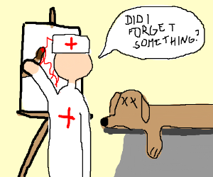 300x250 Veterinarian Drawing Instead Of Working