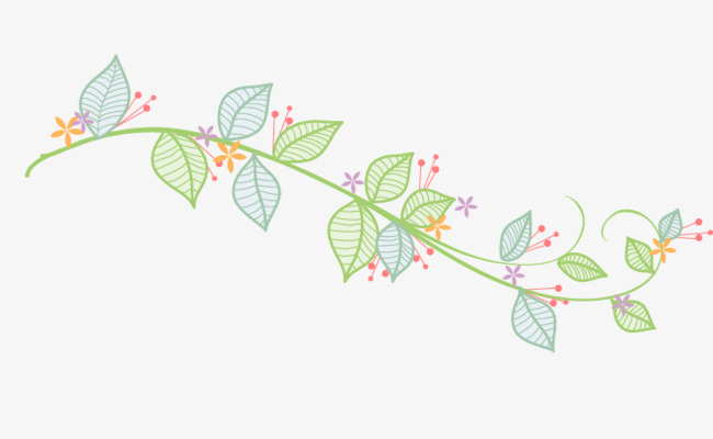 650x400 Watercolor Vector Vine, Vine, Drawing Vines, Plant Material Png