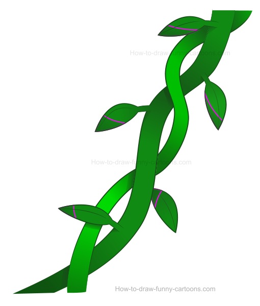 510x600 To Draw Vines