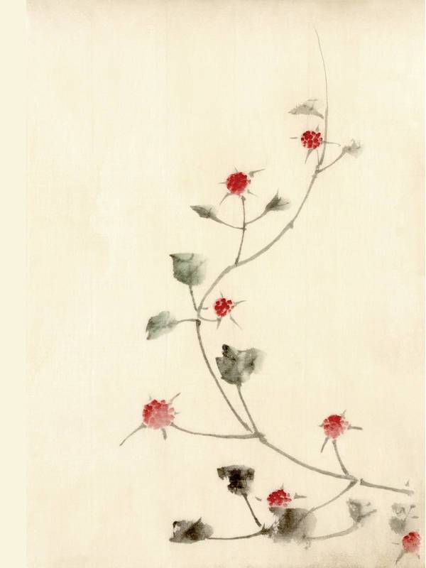 600x800 Cool Drawings, Art Ideas Design Trends