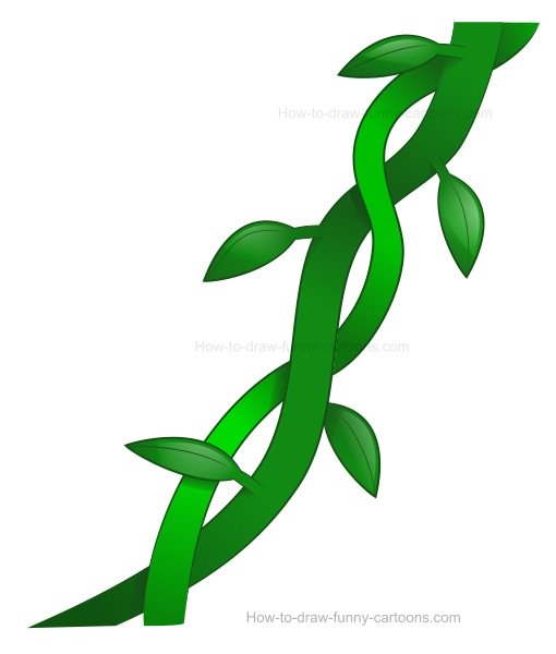 510x600 To Draw Vines