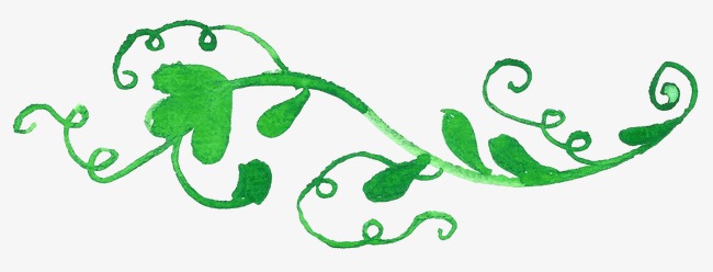 650x248 Green Vines, Drawing Plant, Greenery, Drawing Vines Png Image