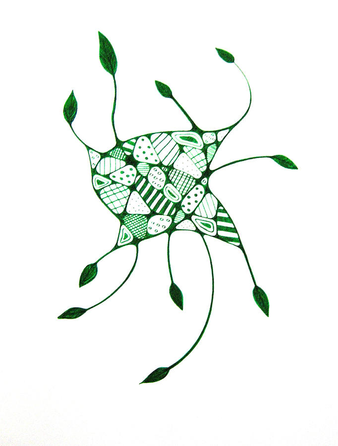 682x900 Uploaded 3 Years Ago. Glory Time Lapse Youtube Flower Simple Rose