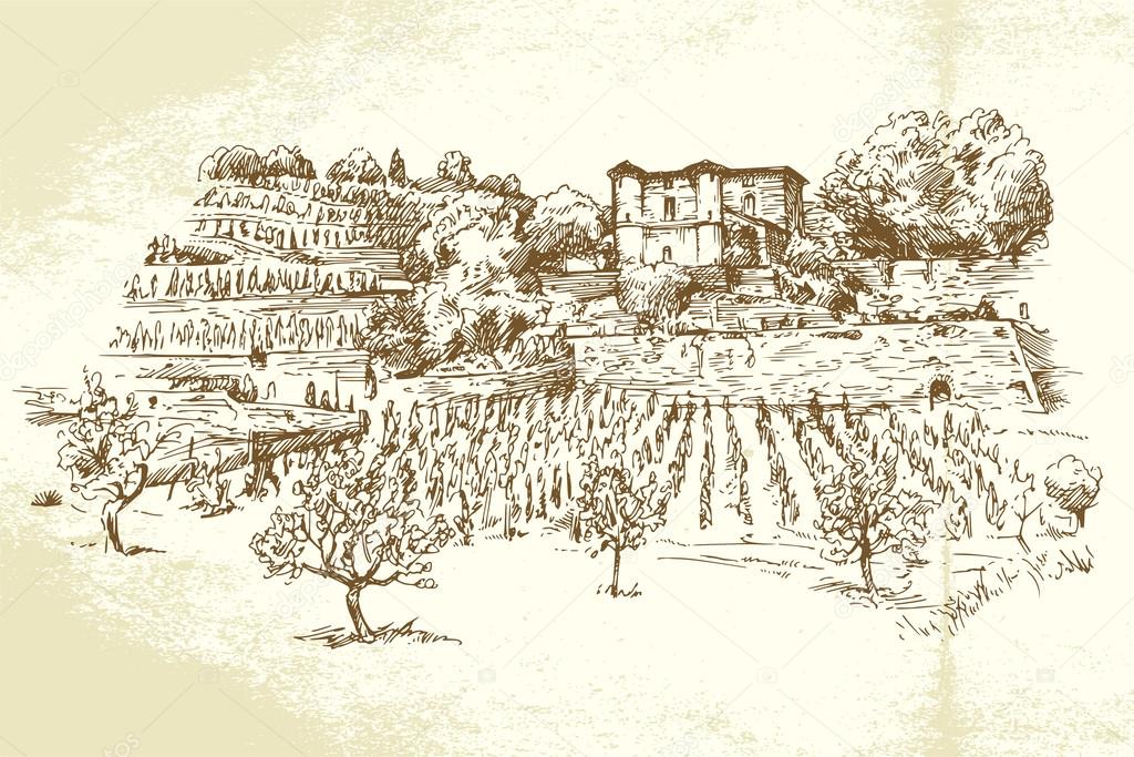 1024x683 Hand Drawn Vineyard Stock Vector Canicula